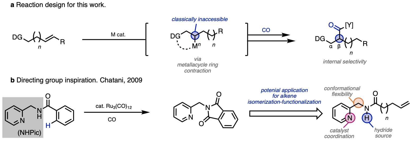 (a) Initial idea for using directing groups to control the isomerization and hydrocarbonylation of alkenes. (b) Initial use of NHPic directing group and salient features of this directing group which enabled this study.