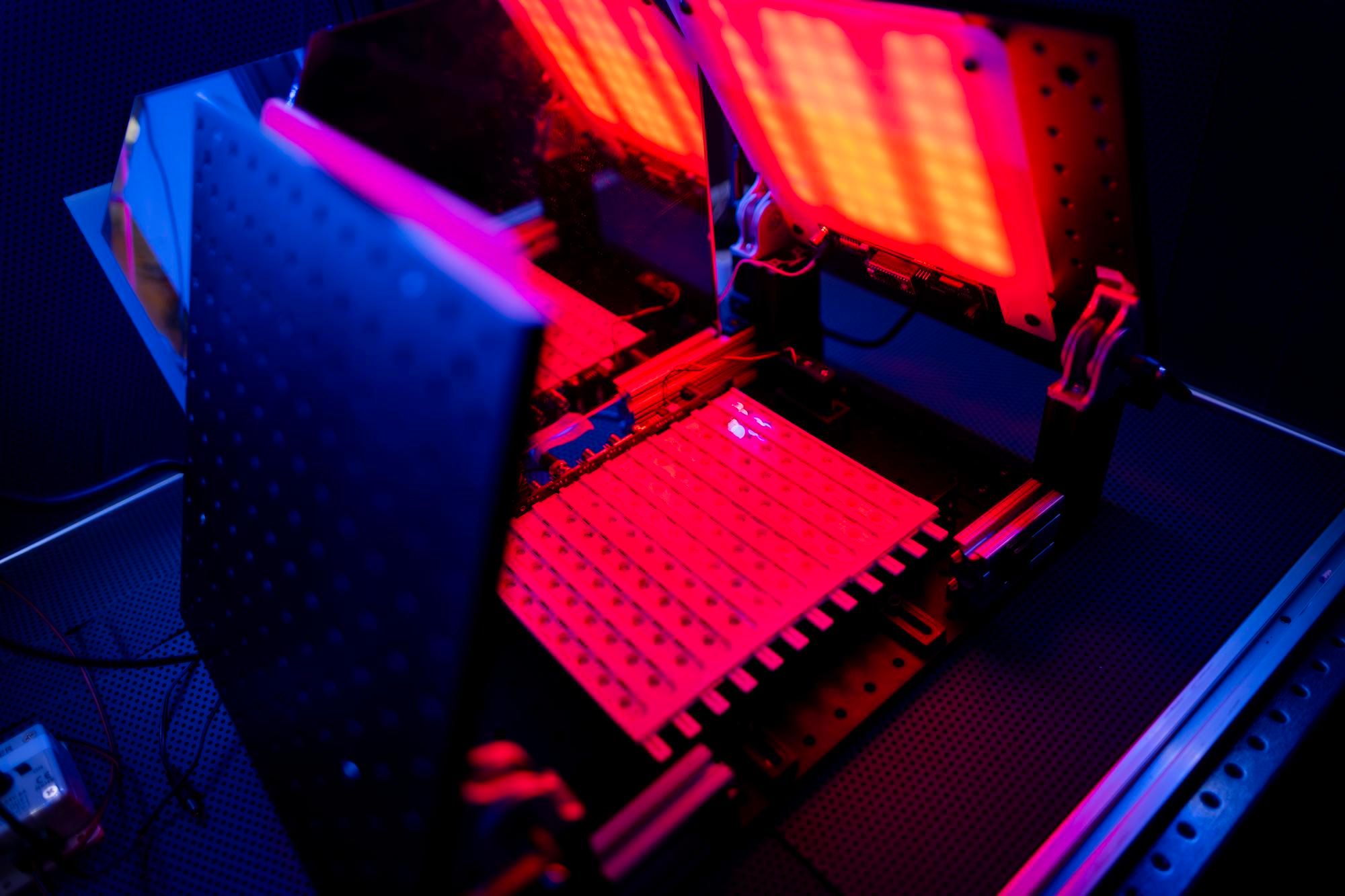 Photo shows flies housed in behavior recording chambers in a grid, with microphones below each chamber. LED boards angled above the behavior chambers shine a red light on the chambers to optogenetically activate neurons of interest. 
