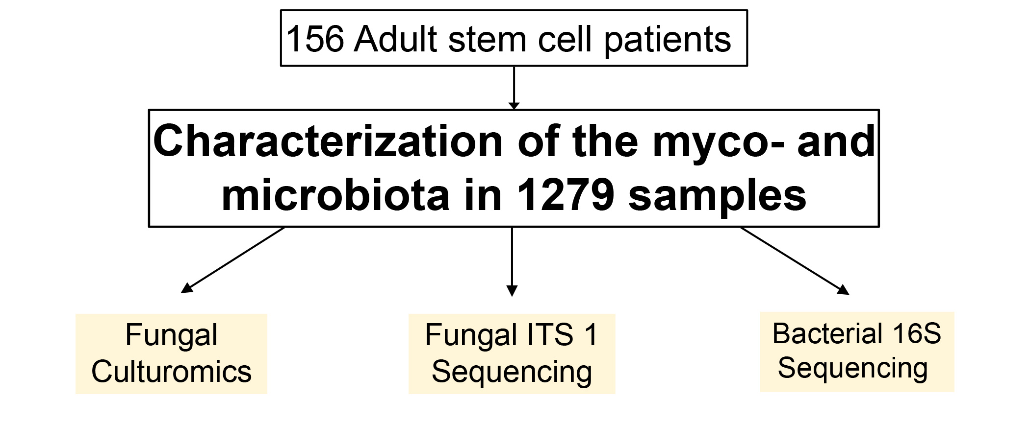 Overview of the study
