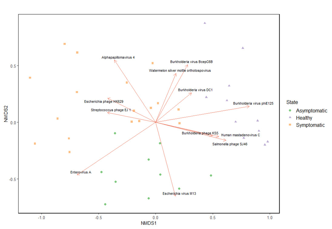 Distinct virome observed in each of the healthy, symptomatic and asymptomatic cohort