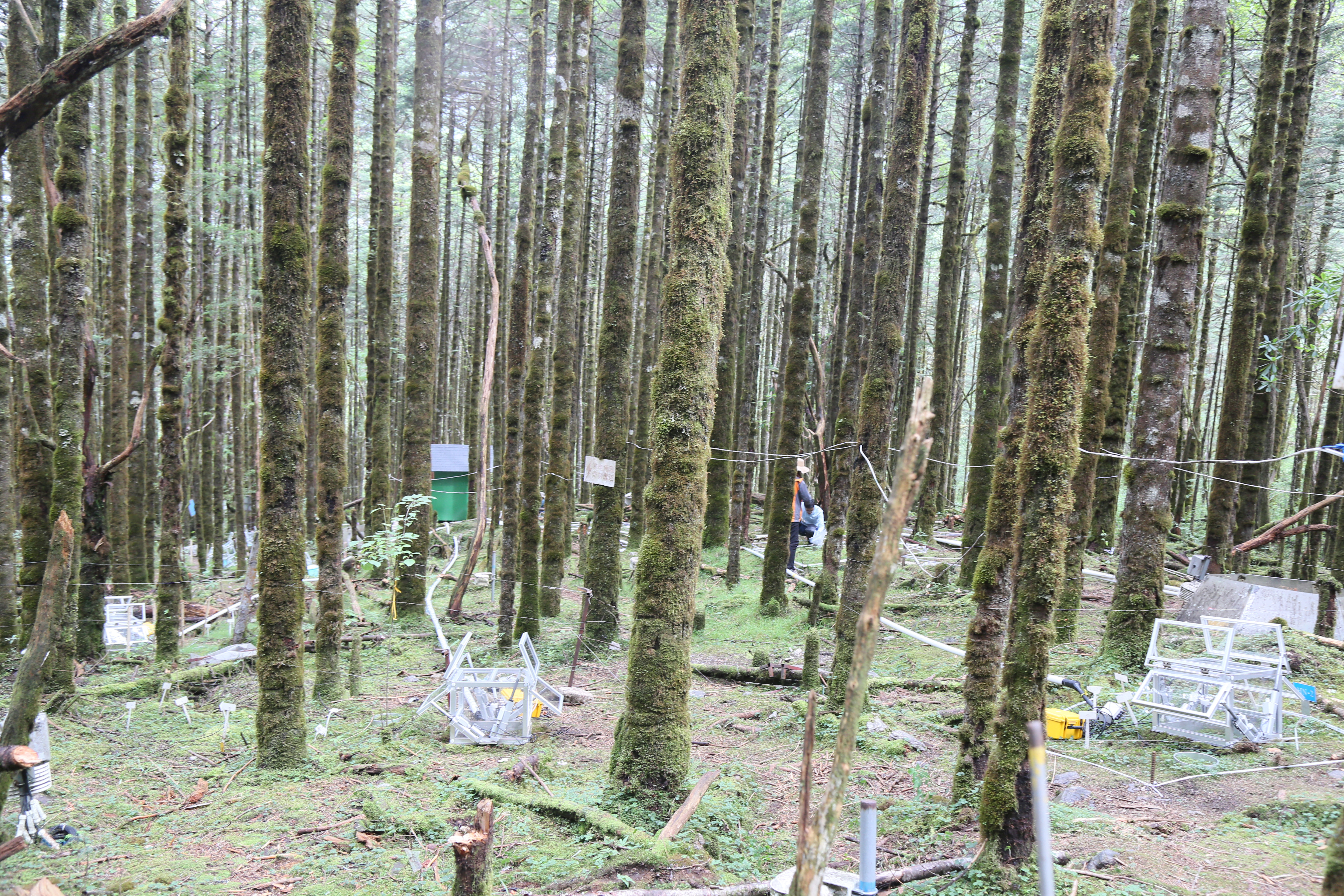 Figure 2. The automated N₂O measurement chambers in a subalpine forest (Courtesy of Ruiyig Chang).