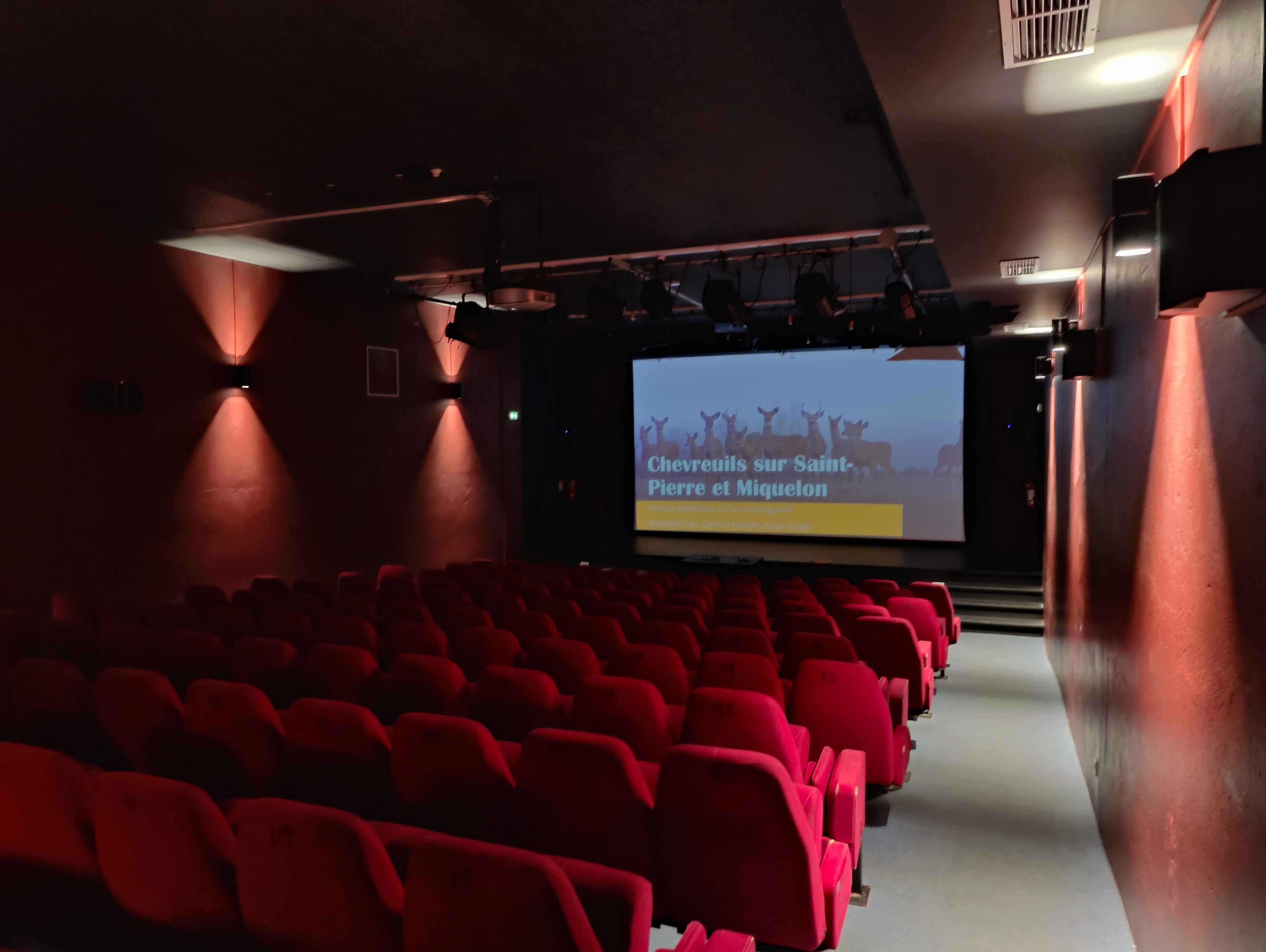 Theatre in St. Pierre