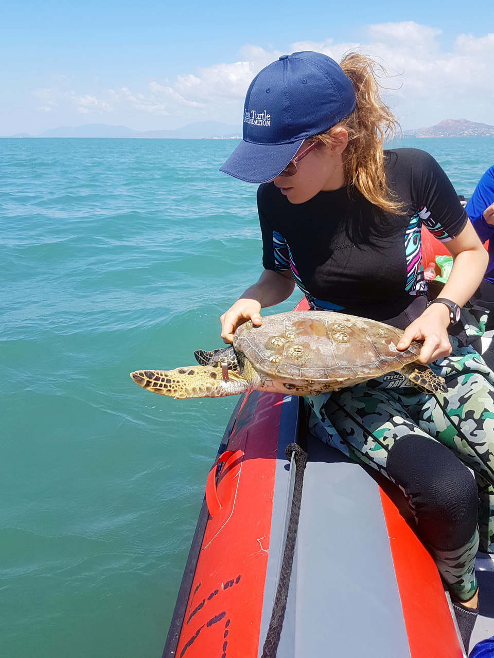 Picture holding a turtle: by Bethany Adomanis 