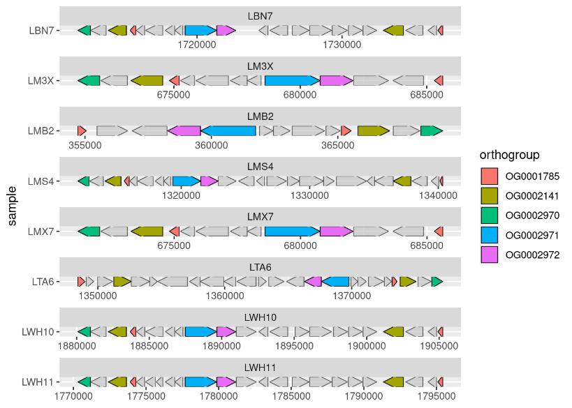 First-pass analysis of the bxd gene cluster