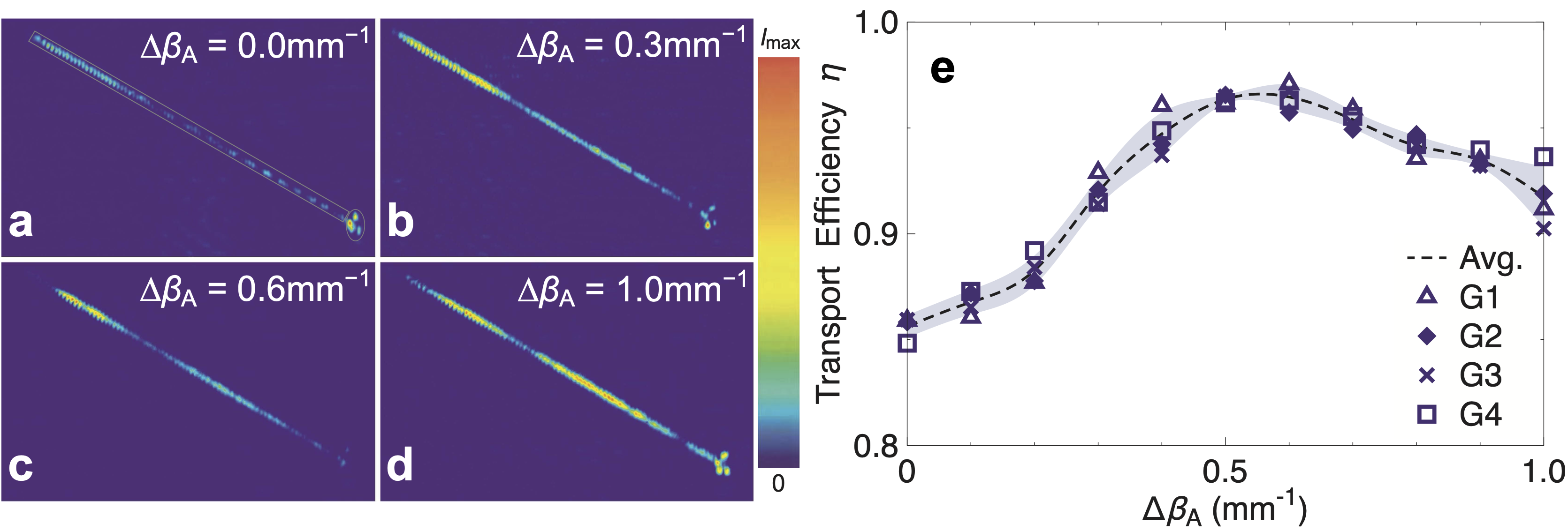 Three examples from the arrays formed with different $\Delta \beta_{\rm A}$ values show different energy transport efficiencies.