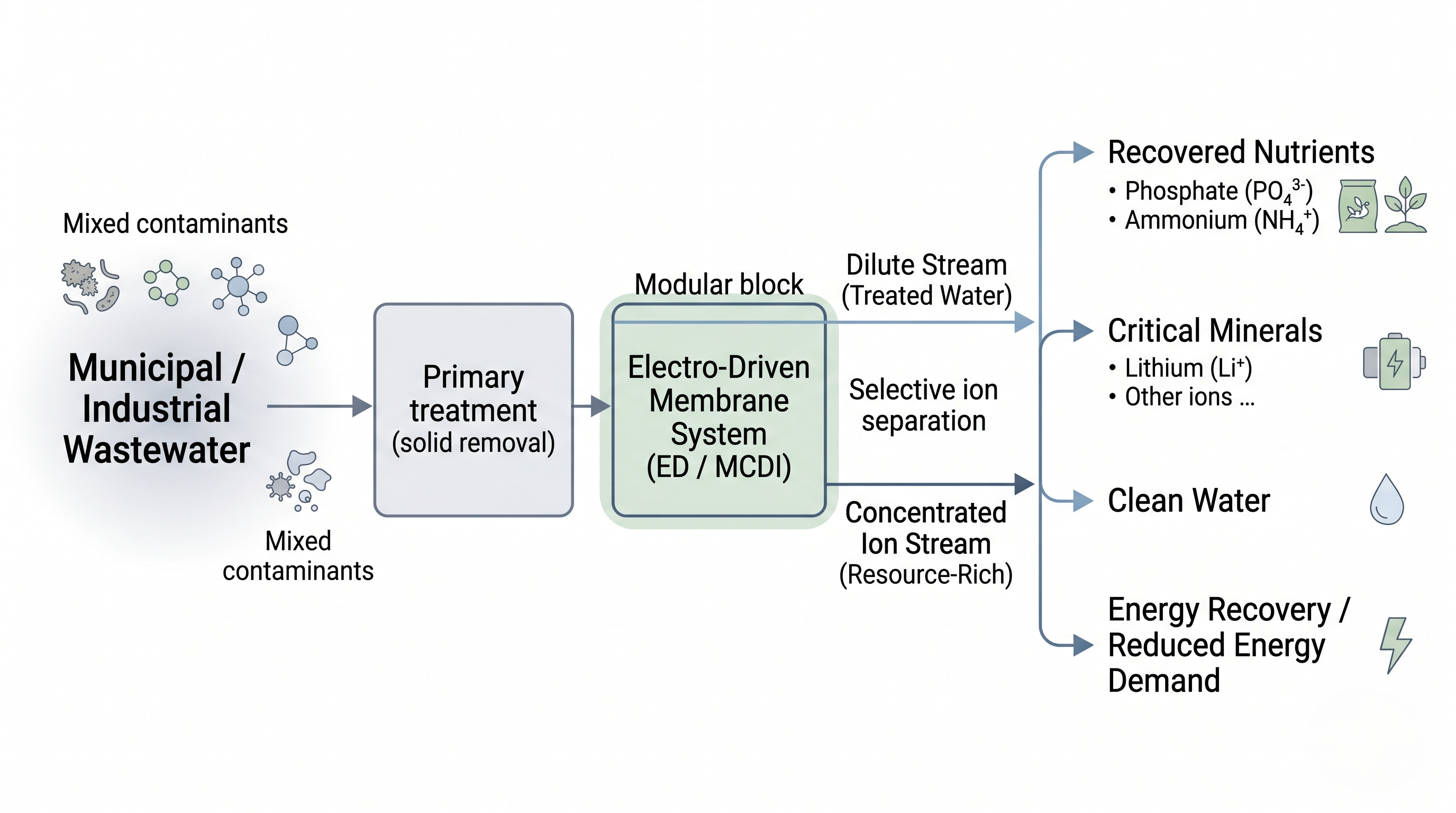 A flowchart of a modernized WRRF producing clean water, struvite, and recovered lithium.