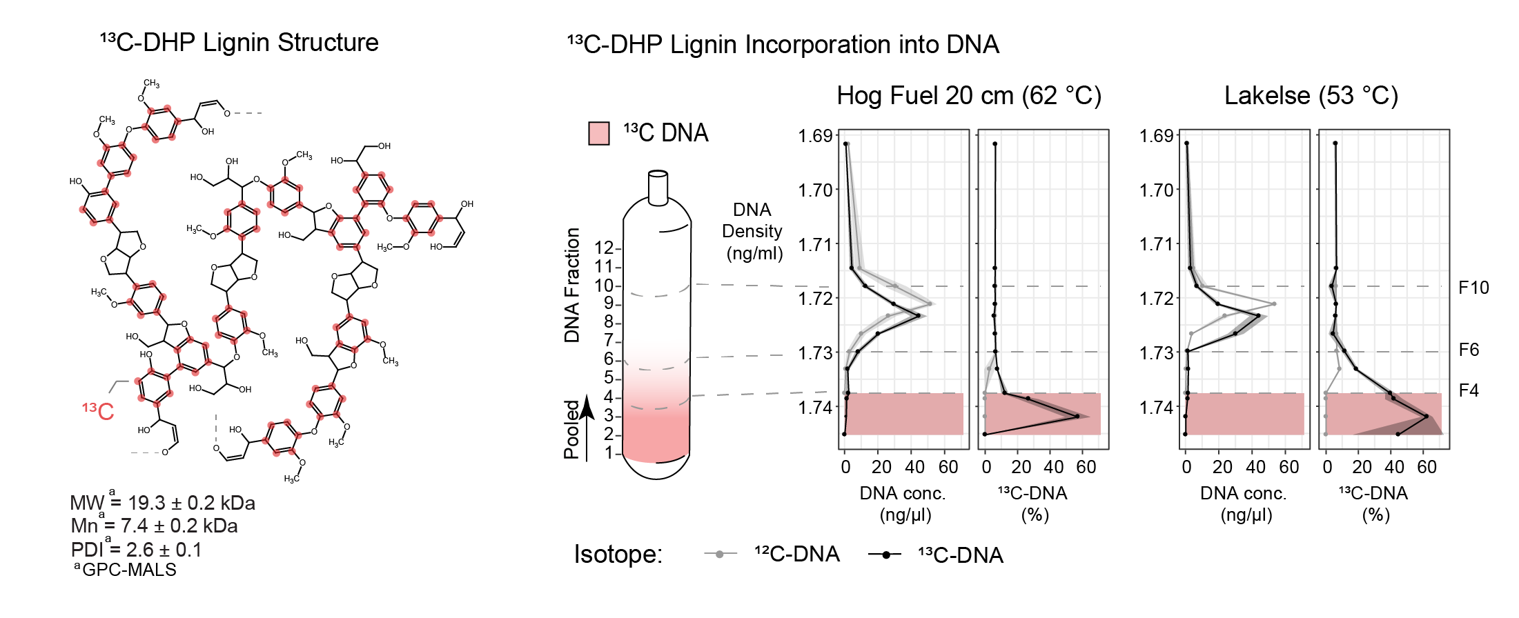 Stable Isotope Probing