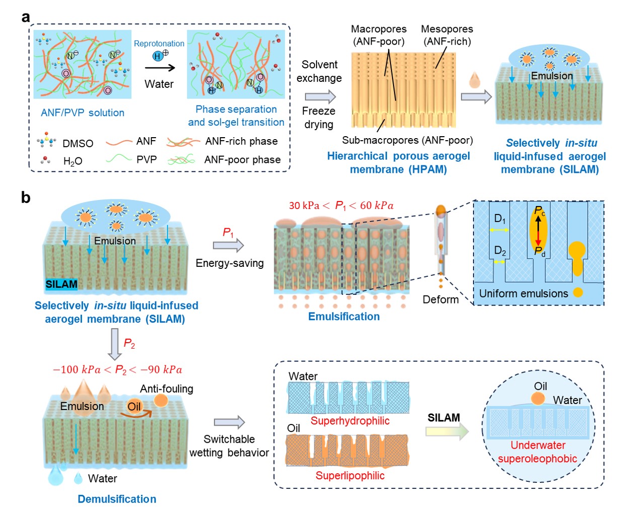 Figure 1. Design strategies and application models of a SILAM within the hierarchical porous aerogel.