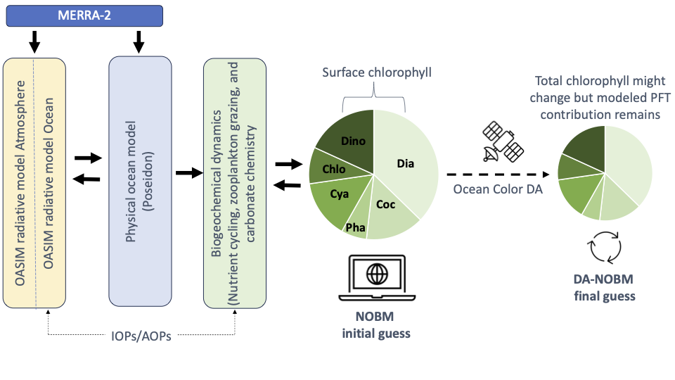 Figure 1. Principal components of the NASA Ocean Biogeochemical Model (NOBM).