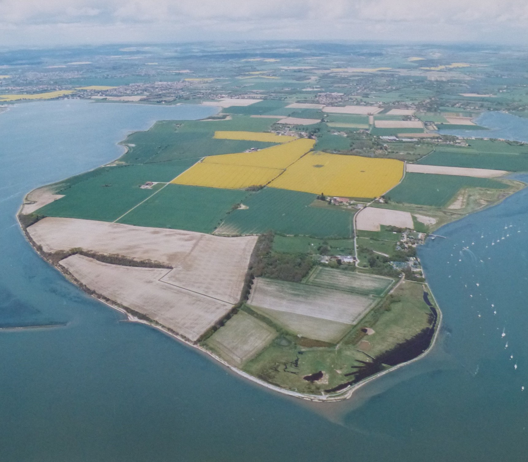 Chidham peninsula, showing arable fields