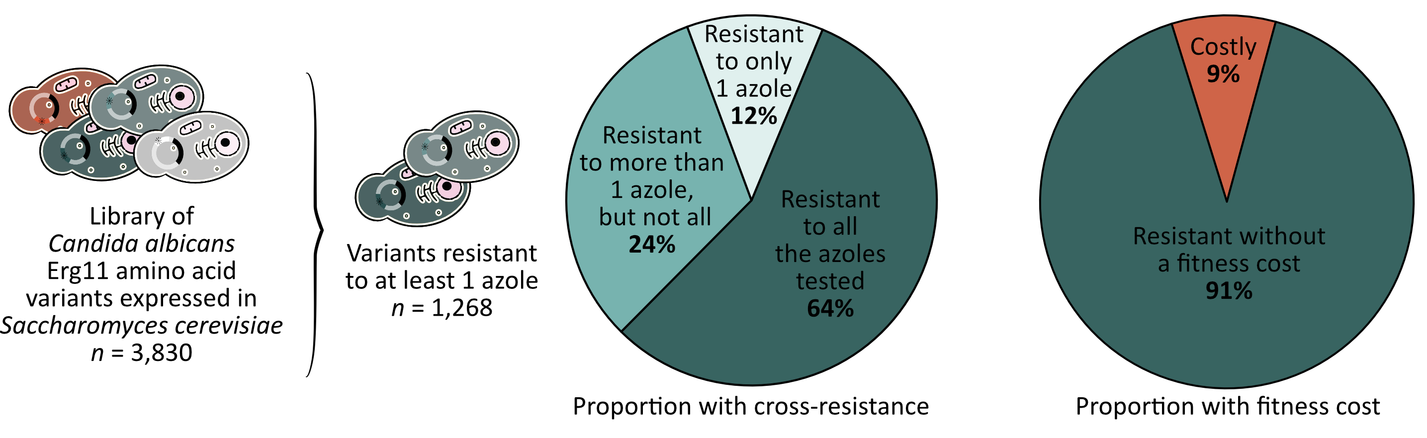 Pie charts showing cross-resistance and fitness cost percentages for the variants resistant to at least one of the six azoles tested.