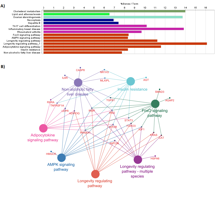 Significant pathway groups identified through ClueGO.