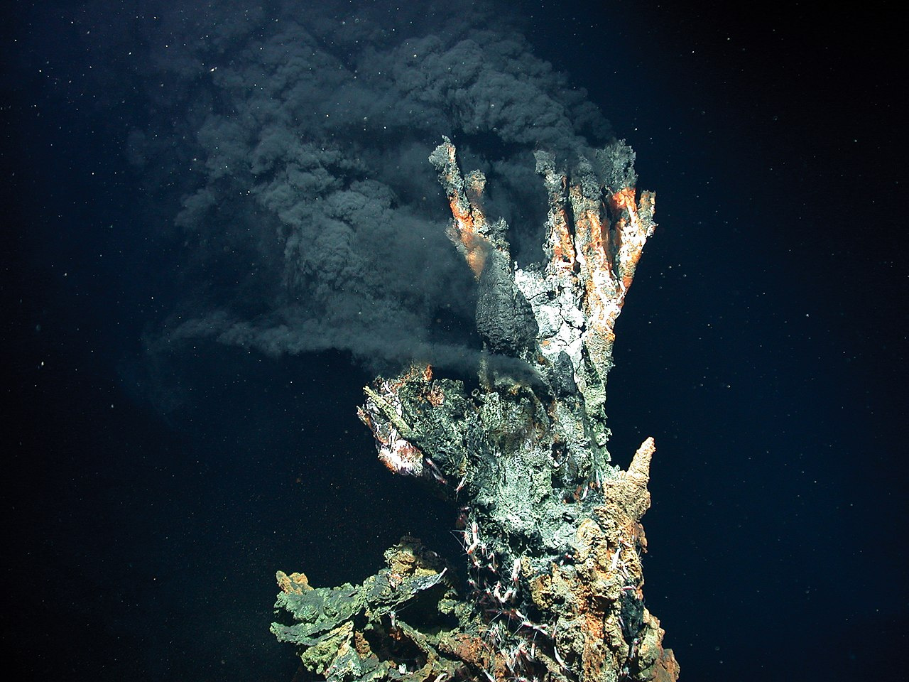 Underwater photograph of a black smoker vent - a tall tree like structure of rock is emitting a plume of black smoke-like material against a dark unlit submarine backgroud
