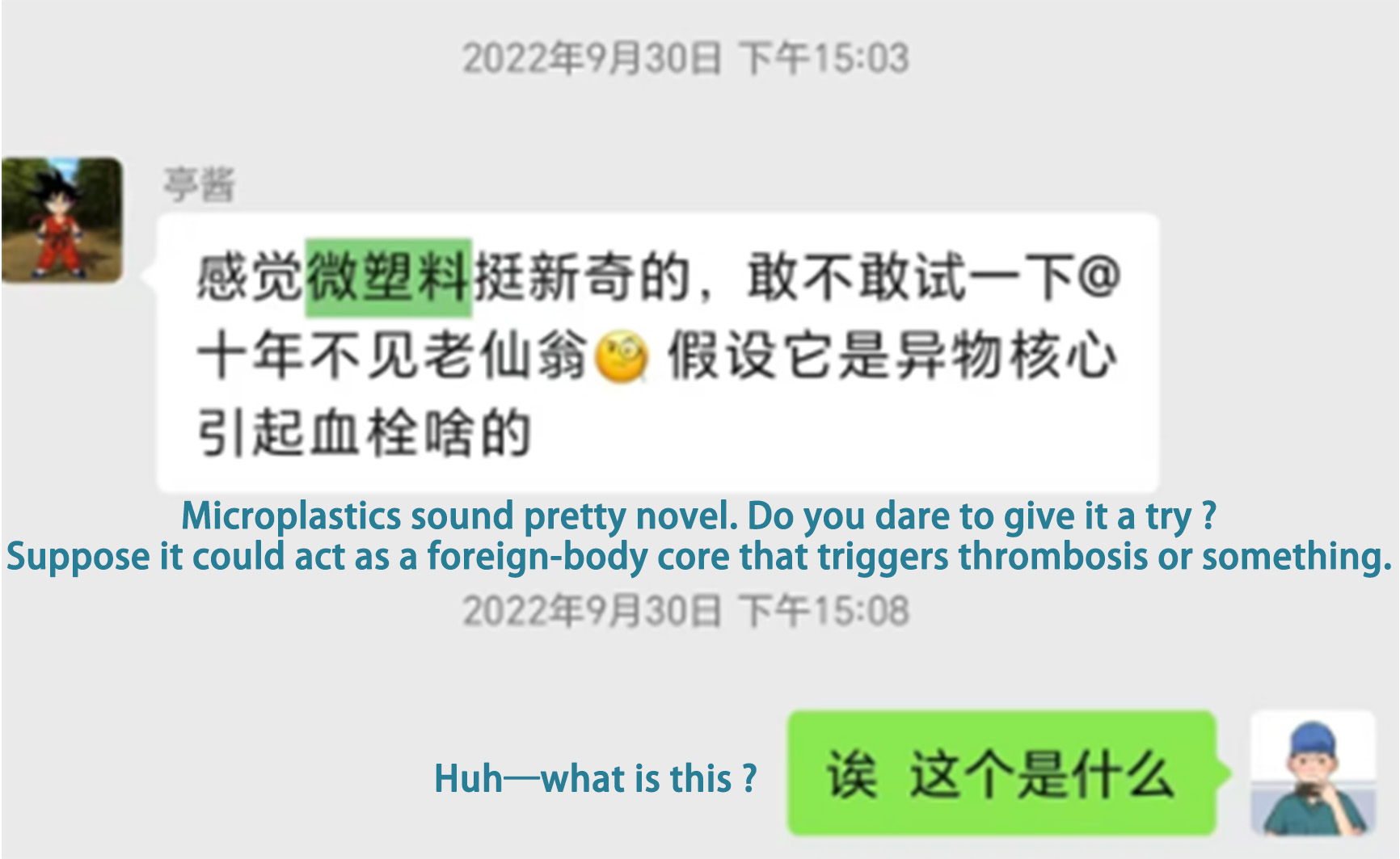 Figure 1. Chat record of my discussion with my junior colleague Lin Fa about micro-nano plastics