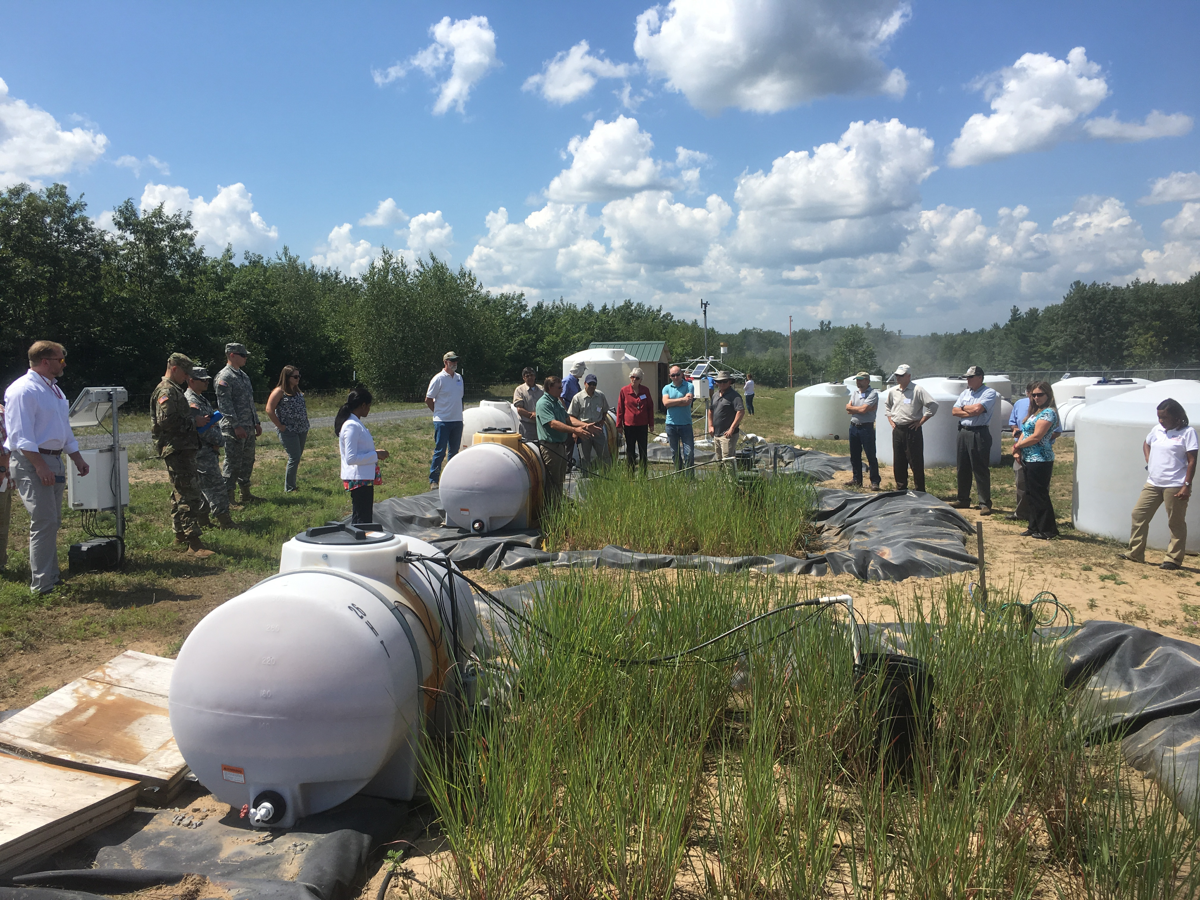 Stakeholders standing around the plot on a sunny day while Tim explains the trial layout