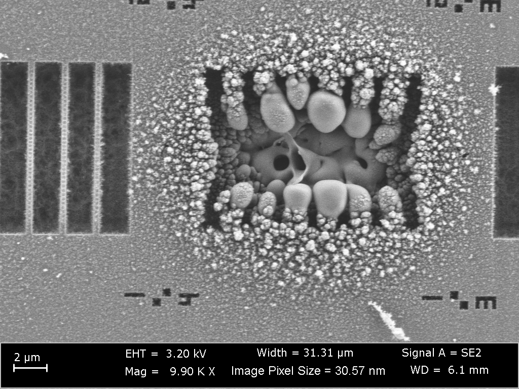 An SEM shows damaged PPCs after we tried laser writing with a below-bandgap femtosecond pulse. 