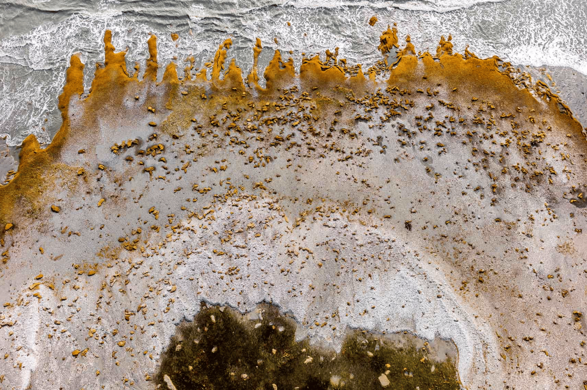 Close up of exposed and eroding salt marsh peat on the seaward side of a migrating barrier island