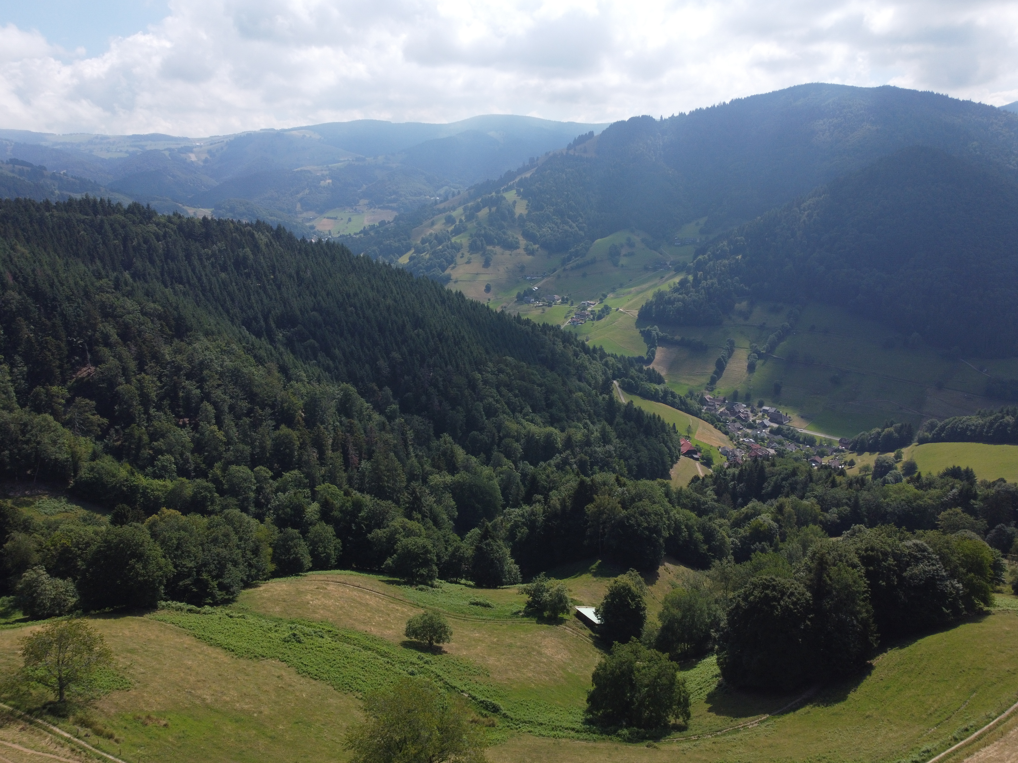 Black Forest mountain region