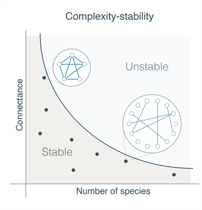 A large ecosystem can be stable if its interactions’ intensity, i.e. the connectance, is sufficiently low. 
