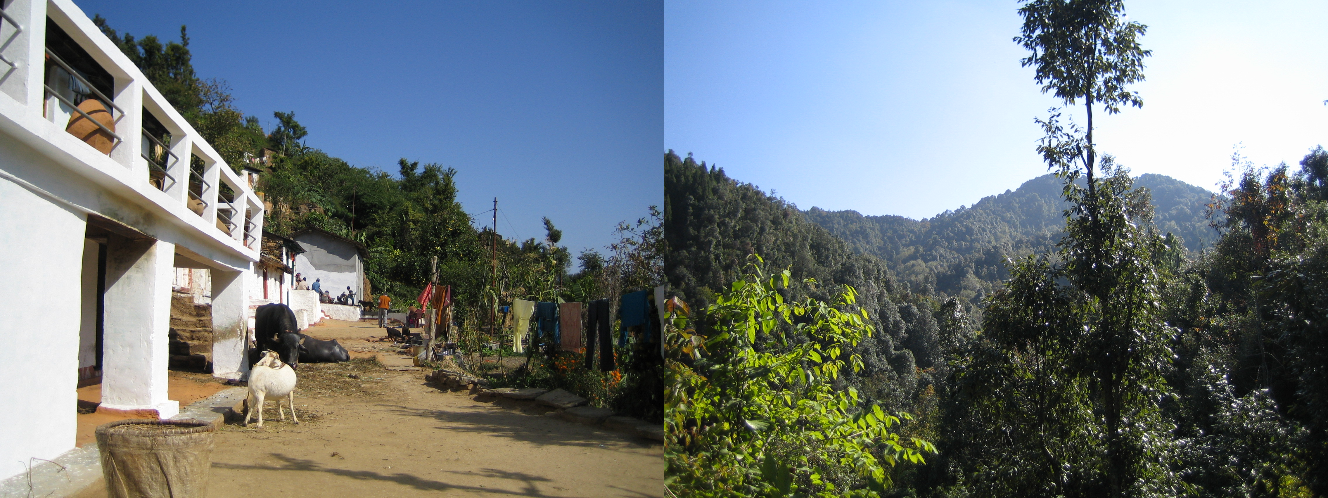 Deodar Village and surrounding forested landscape in 2009. Photos by Sebastian Breitenbach.