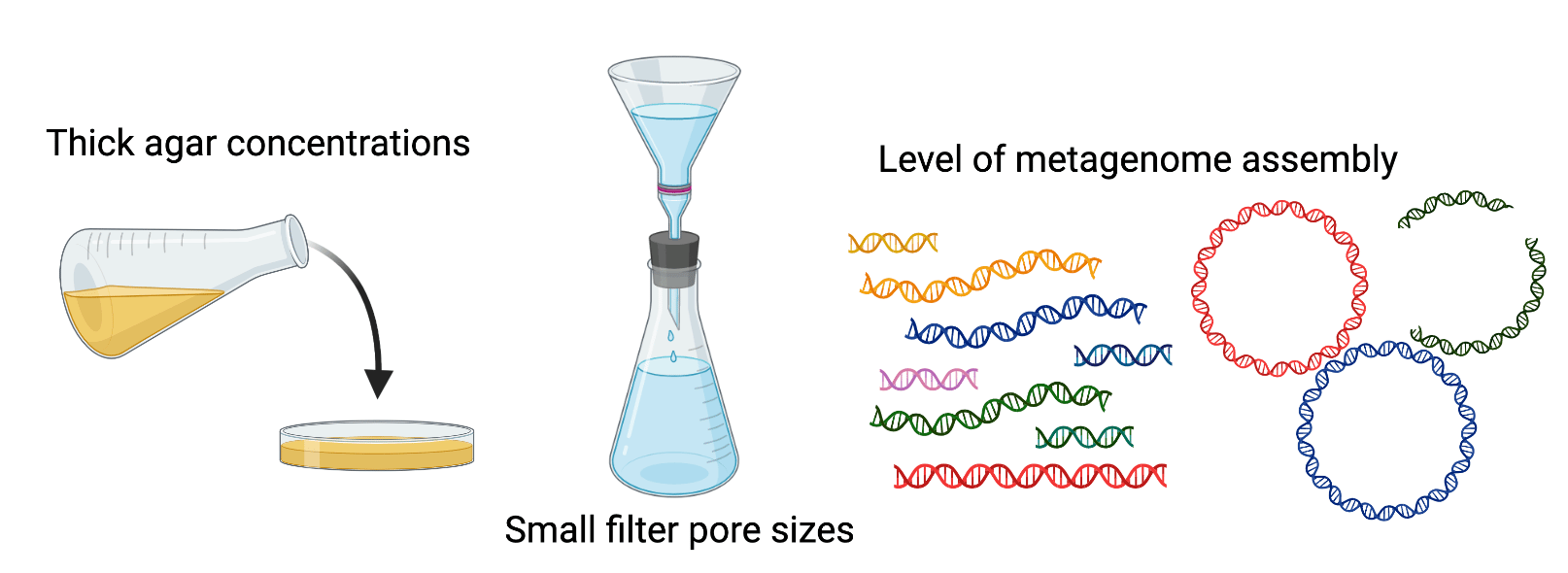 Methods we enrich for phages that bias for small ones, like agar concentrations, small pore sizes of filters, and stage of metagenome assembly.