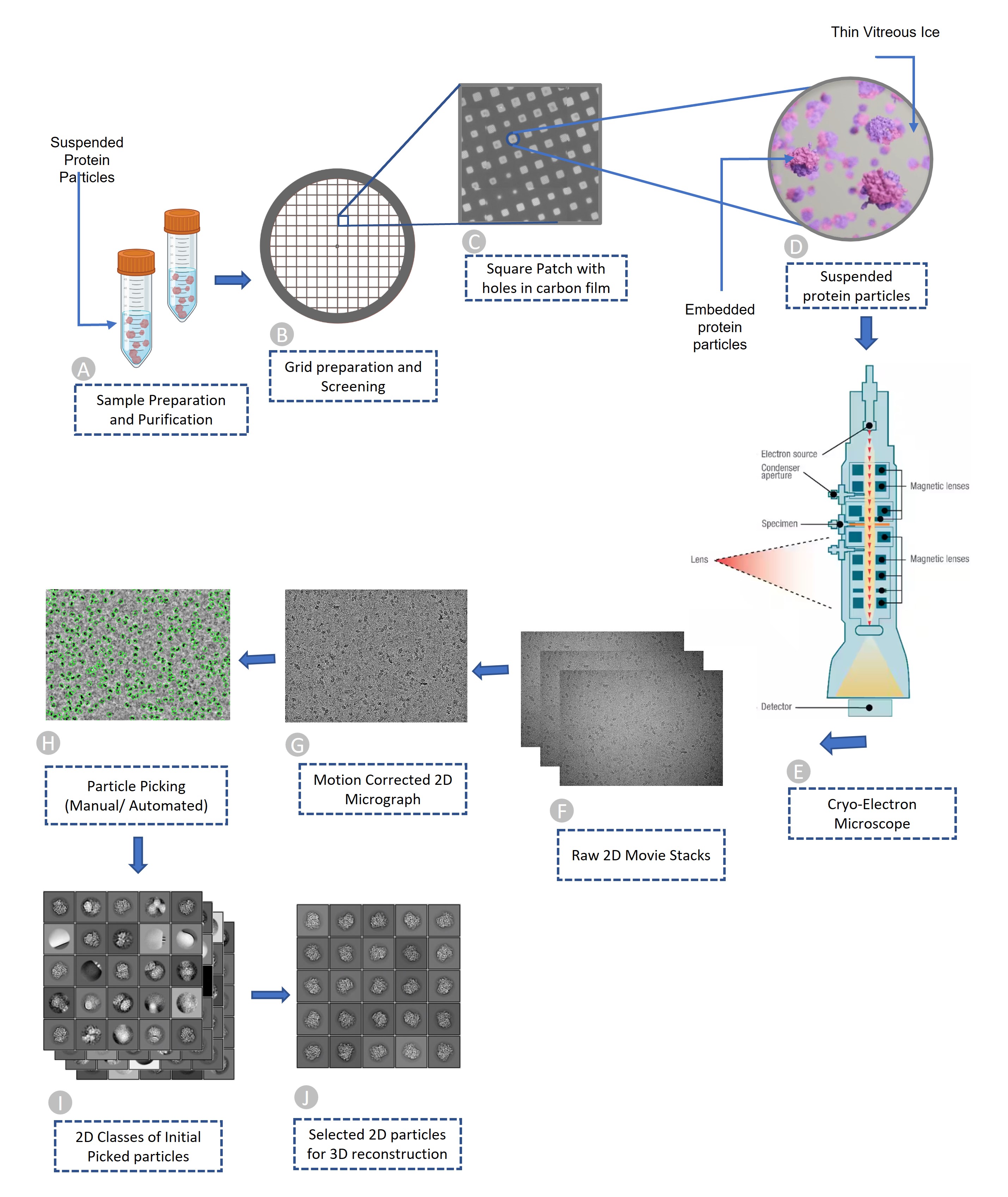 Cryo-EM pipeline