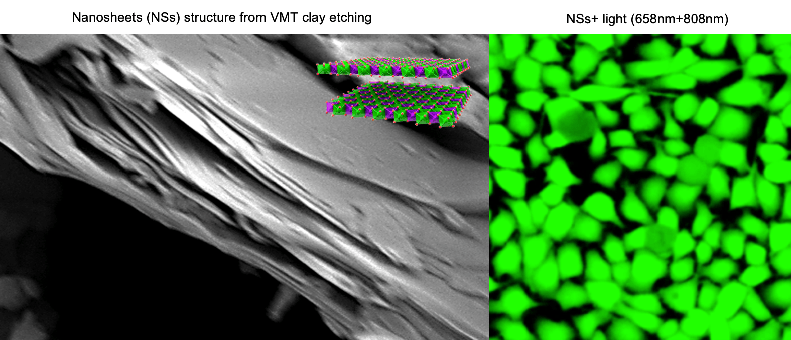 Modern Alchemy: Natural clay-derived nanosheets for cancer therapy