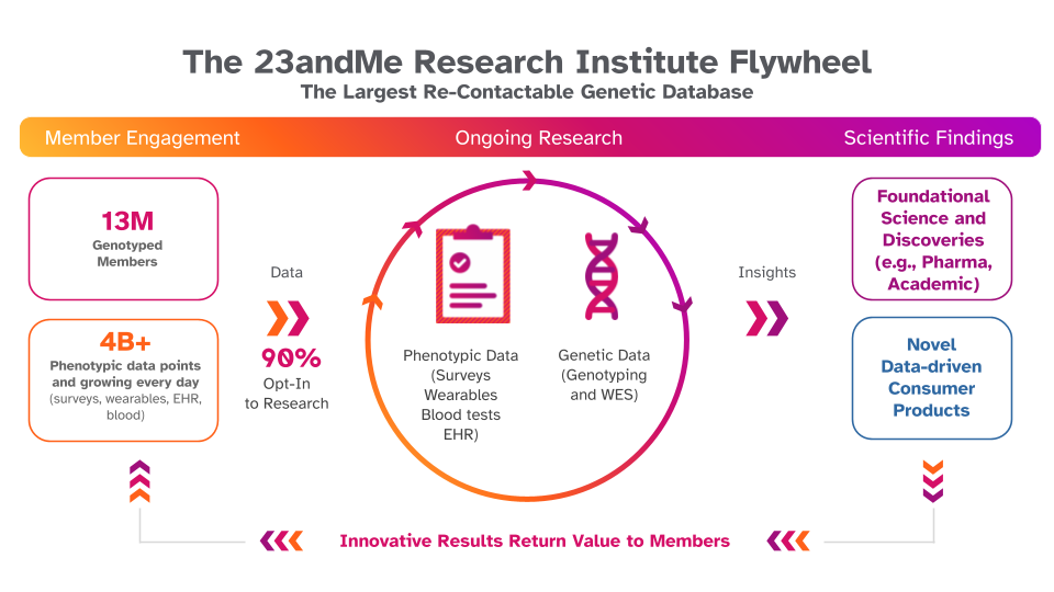 The Research Flywheel. With approximately 90% of 23andMe members consenting to research, the 23andMe Research Institute can rapidly accumulate survey data to fuel new discoveries, which in turn advances scientific research and can be provided back to members as novel genetic insights.
