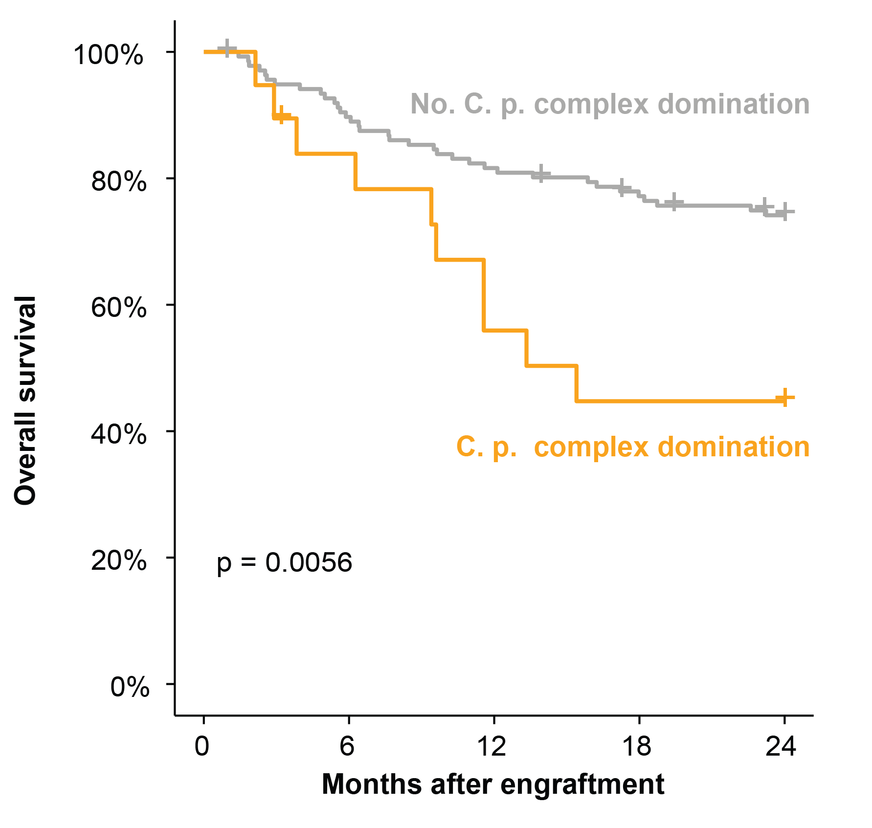 Overall survival by C. parapsilosis status