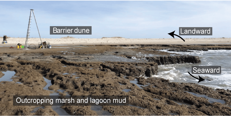 Ground view of backbarrier marsh and lagoon sediment exposed along the eroding beachface and backed by a landward-migrating sandy beach and dune system.