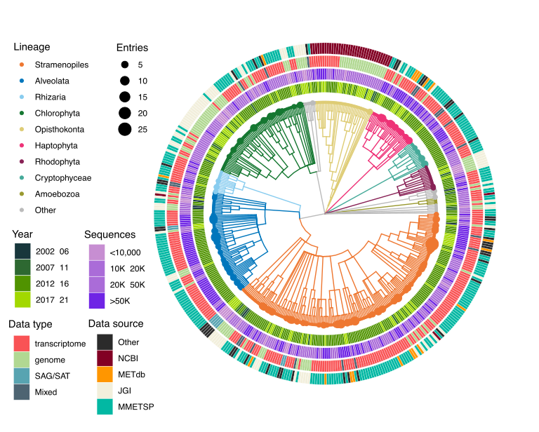 Each tip is a unique taxon included in MarFERReT, colored by taxonomic lineage. Concentric rings describe taxa metadata: year of release, number of sequences, data type, and data source.