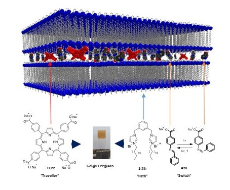 Cartoon showing the structure of the supramolecular fibres
