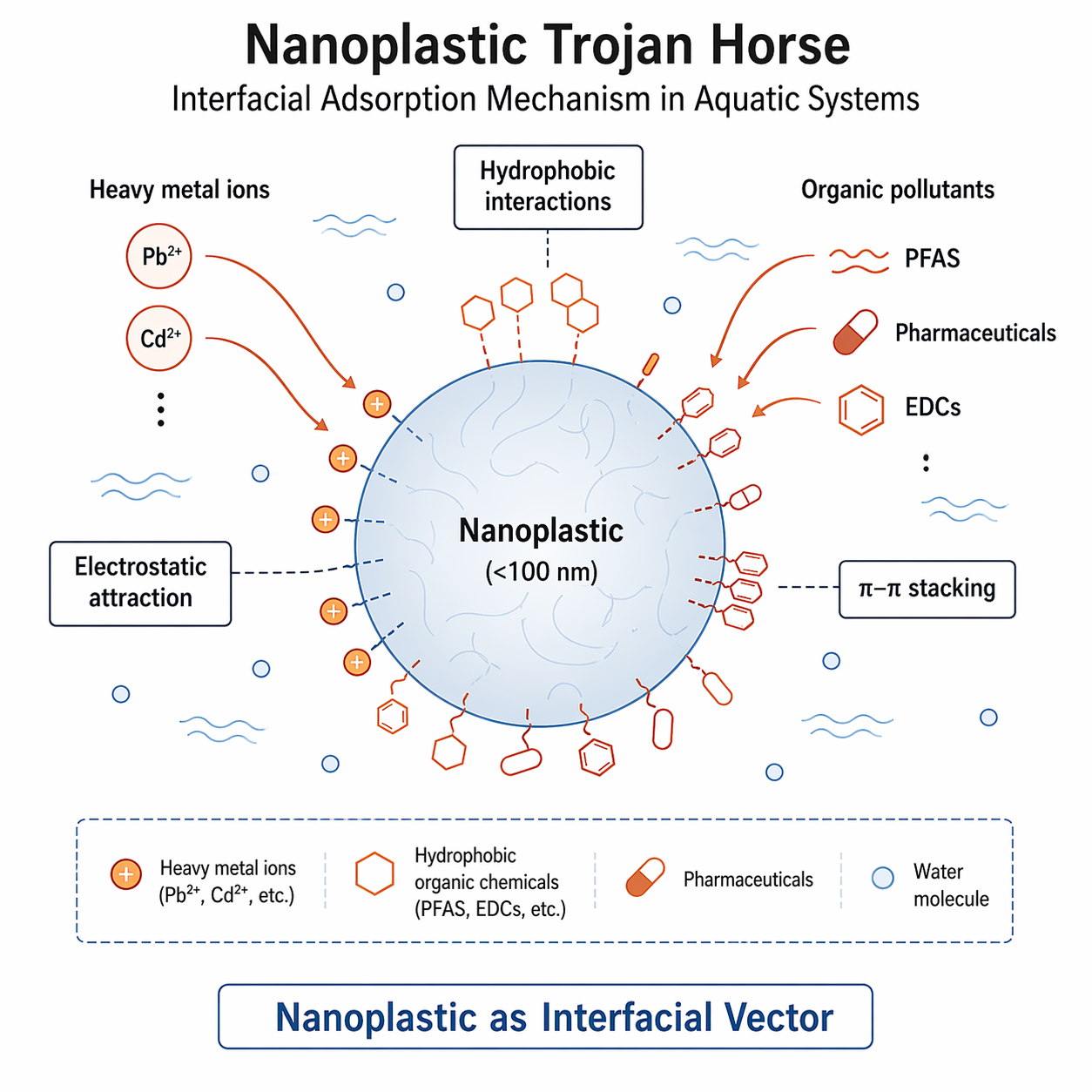 Nanoplastic Trojan Horse