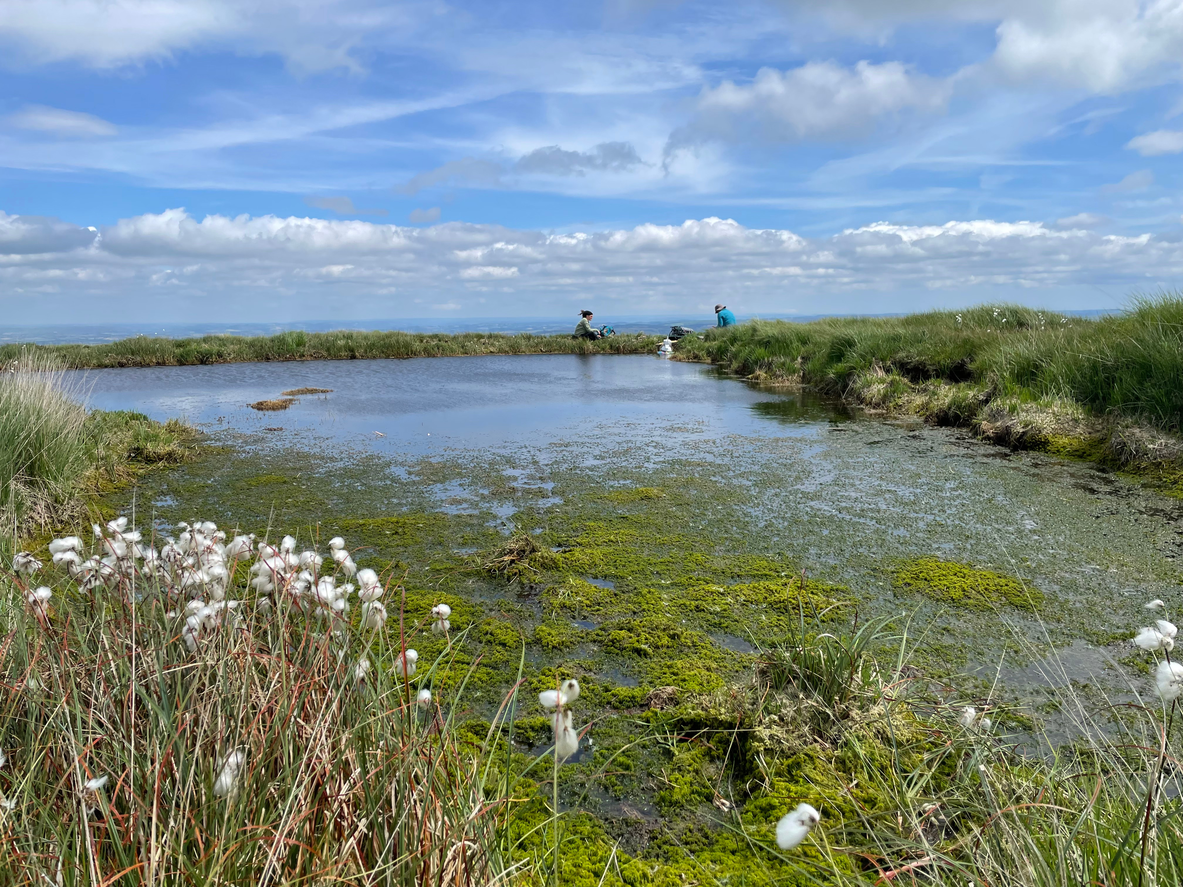 Restoration pool fills with Sphagnum as researchers monitor methane fluxes in the background.