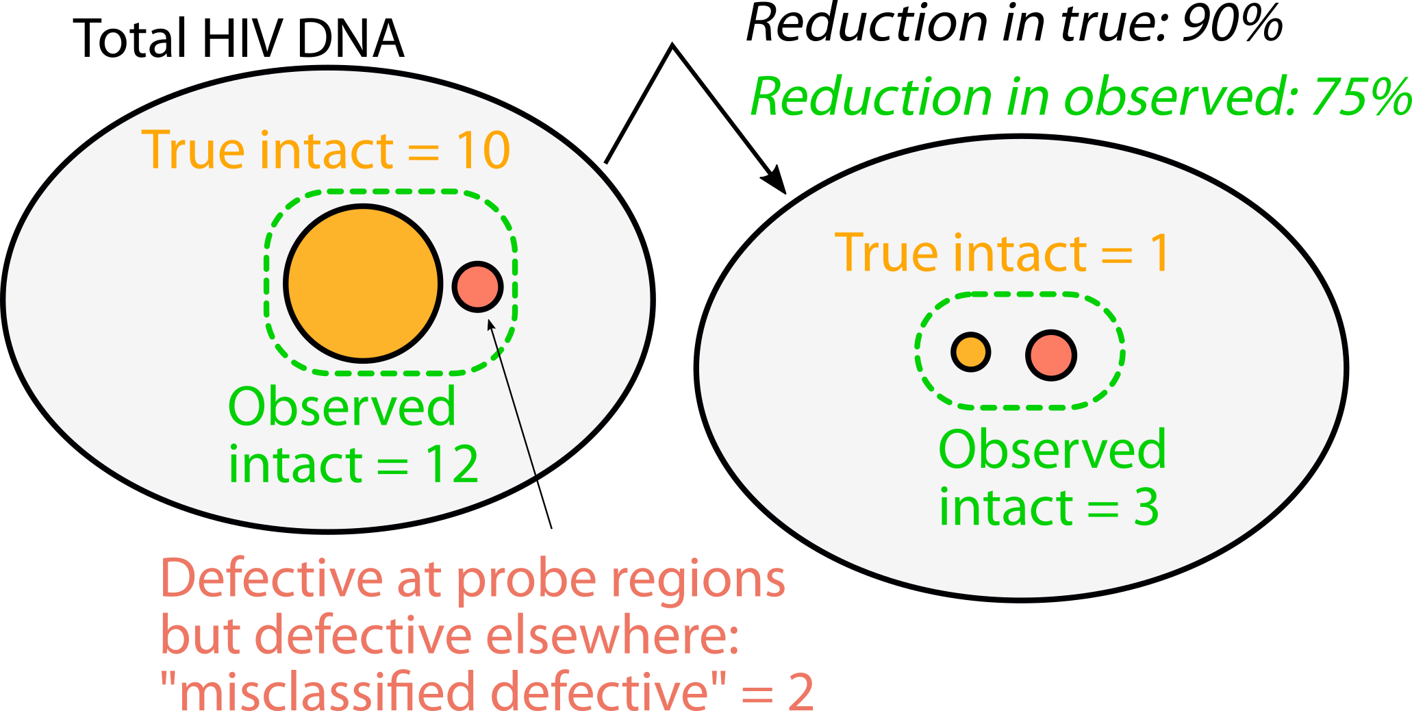 Schematic depiction of how misclassified defective proviruses could lead to underestimates (simple example: 75% vs 90%) of therapeutic reduction in true intact proviruses.