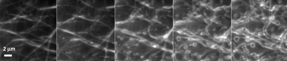 A sequence of micrographs showing change in fibre structure