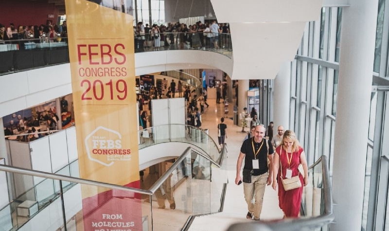Photo of two Congress attendees going upstairs in the ICE Congress Centre, the venue of the 44th FEBS Congress in Kraków