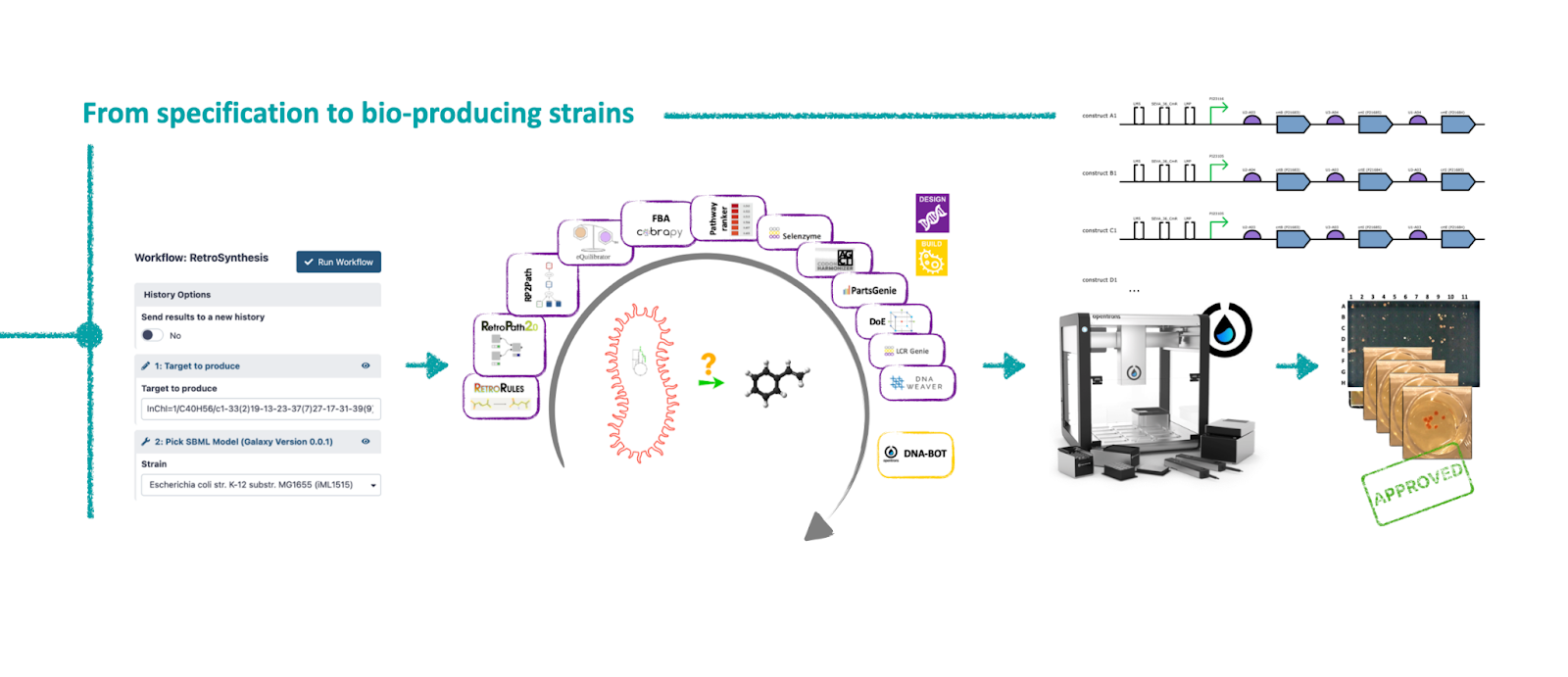 From specifications to bio-producing strains