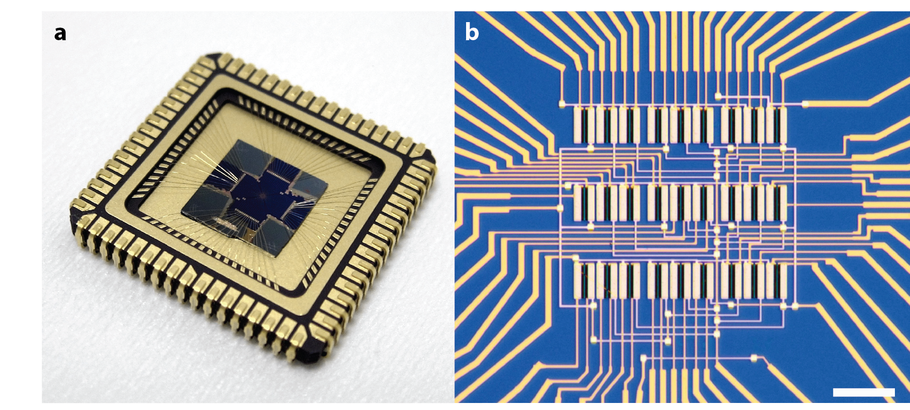 Images of the vision sensor Images of the vision sensor