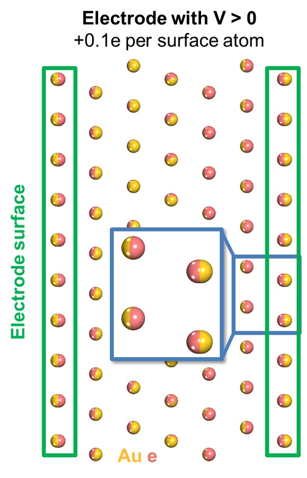 Model of a gold electrode