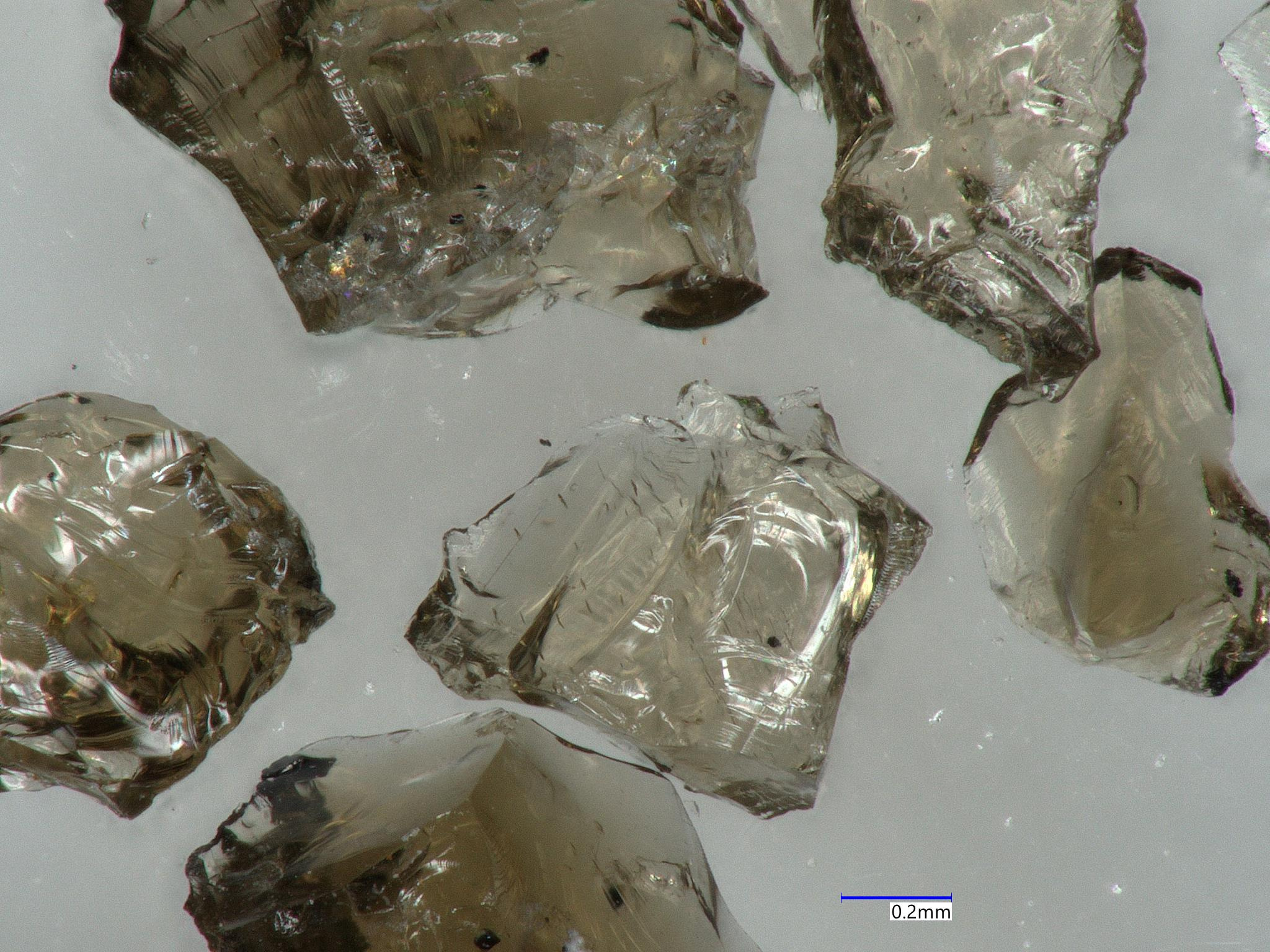 Photomicrograph of shards of nearly-transparent glass containing small, dark crystals and elongate bubbles