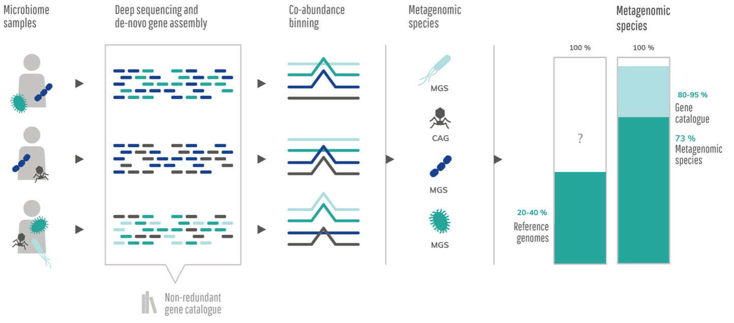 The metagenomics species and gene catalog describes a significantly higher proportion of the metagenomics reads than reference based approaches.