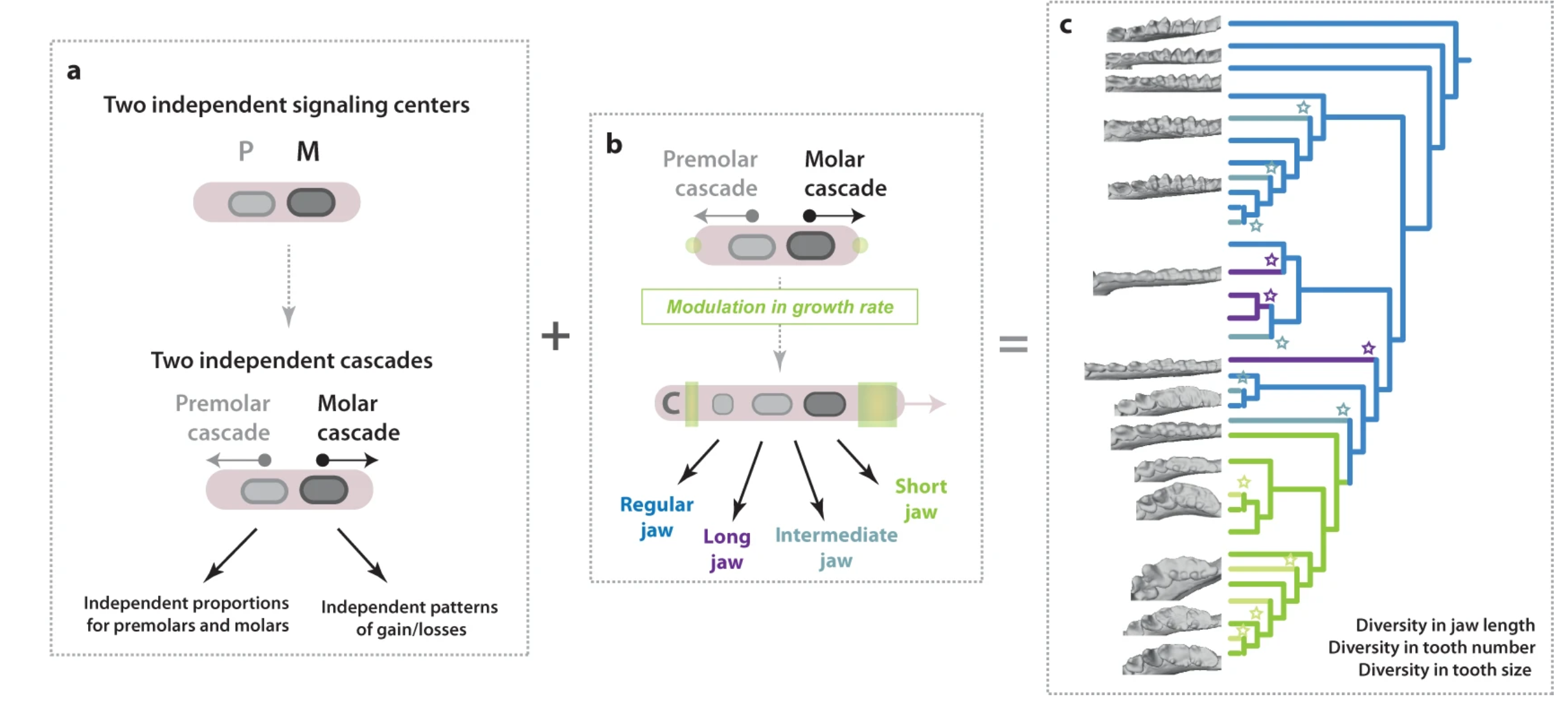 Figure 6 of the paper