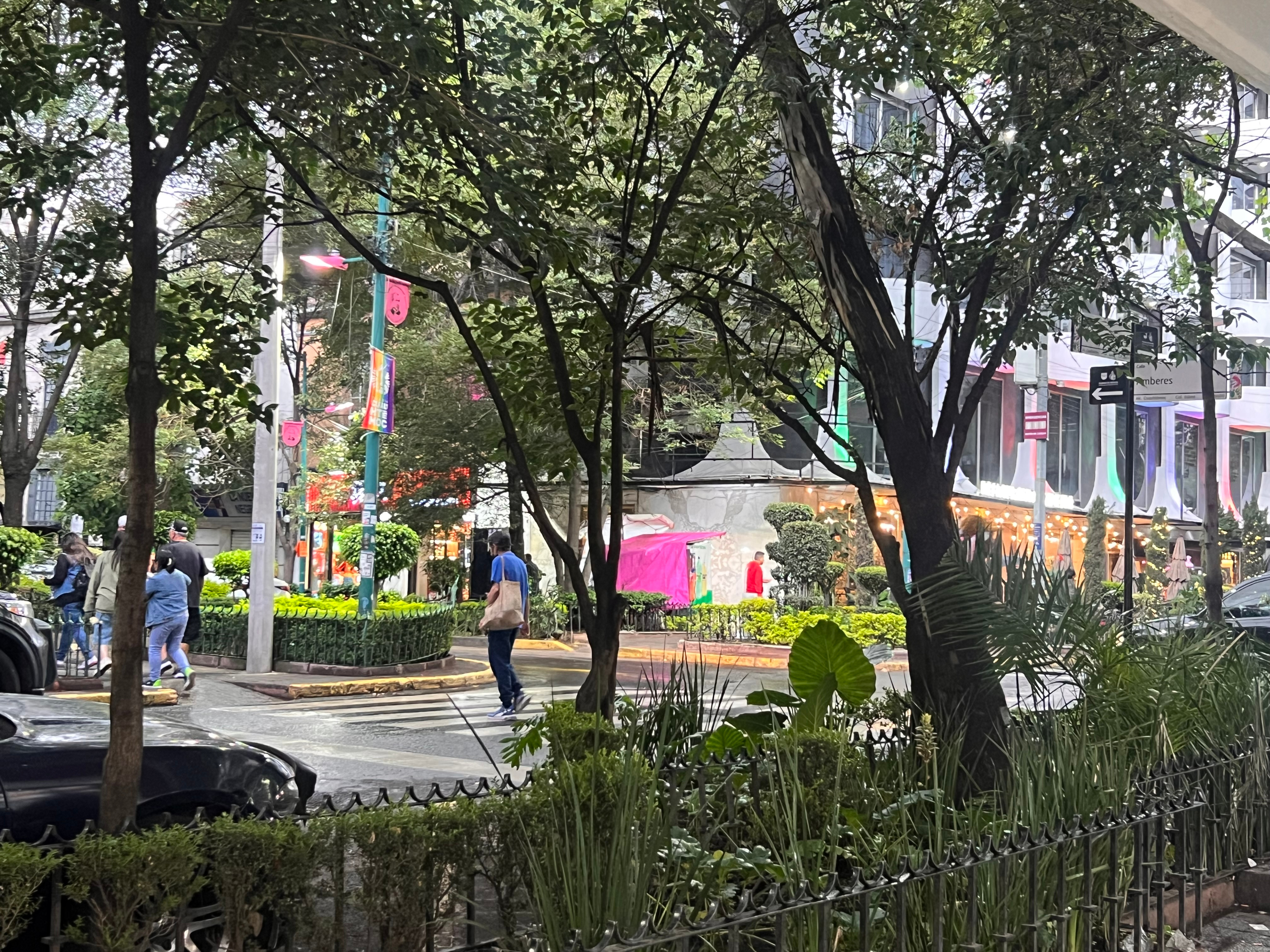 Rainy CDMX