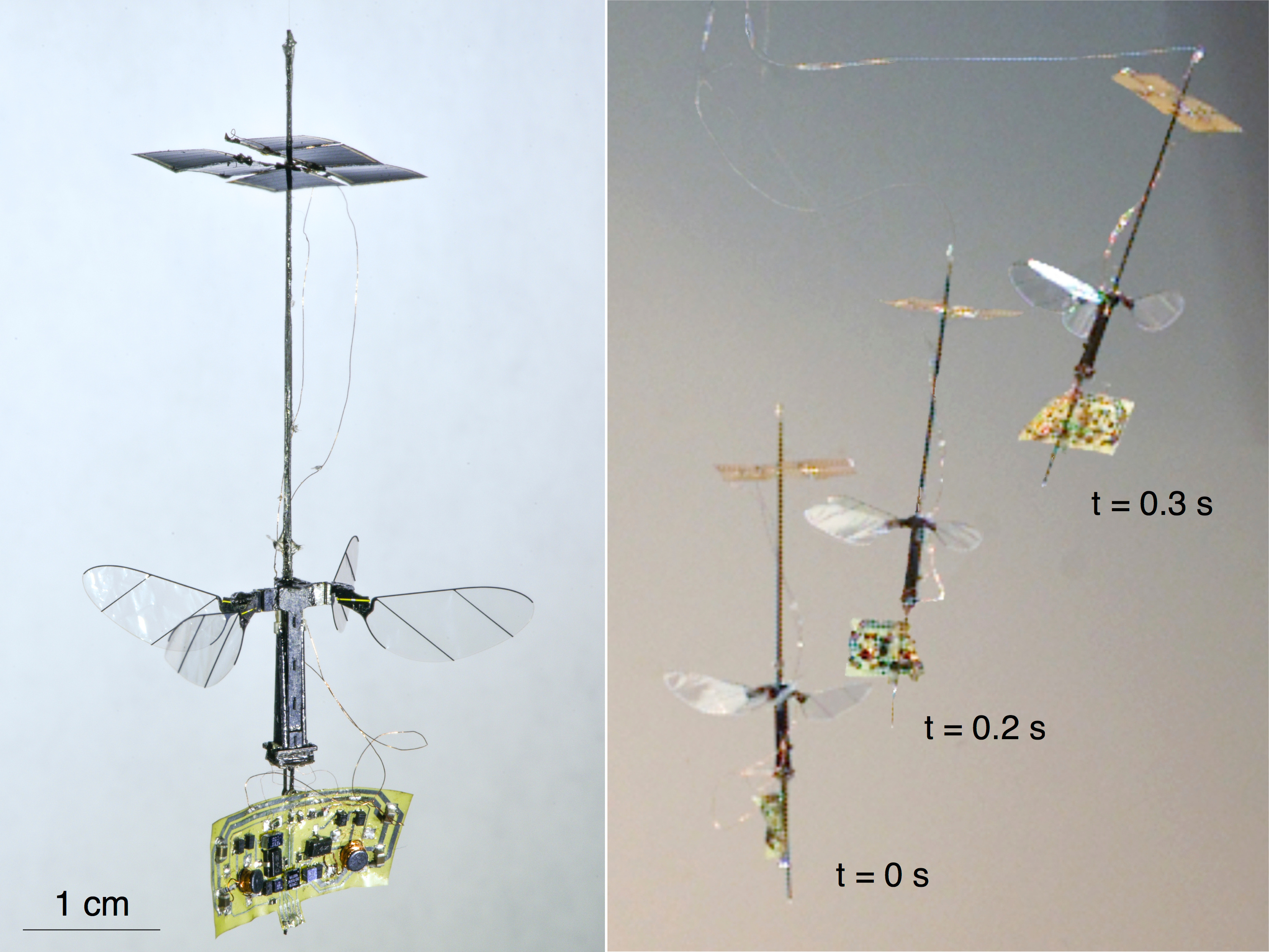 The integrated vehicle and time-lapse from an untethered flight.