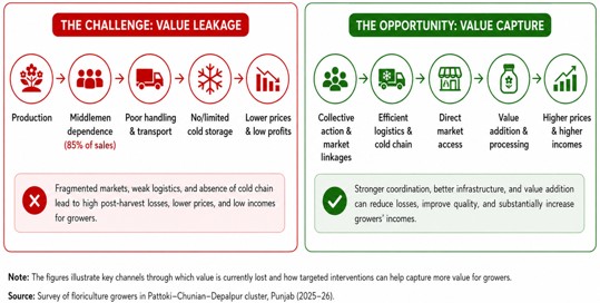 Figure 3: From value leakage to value capture in Pakistan's floriculture sector