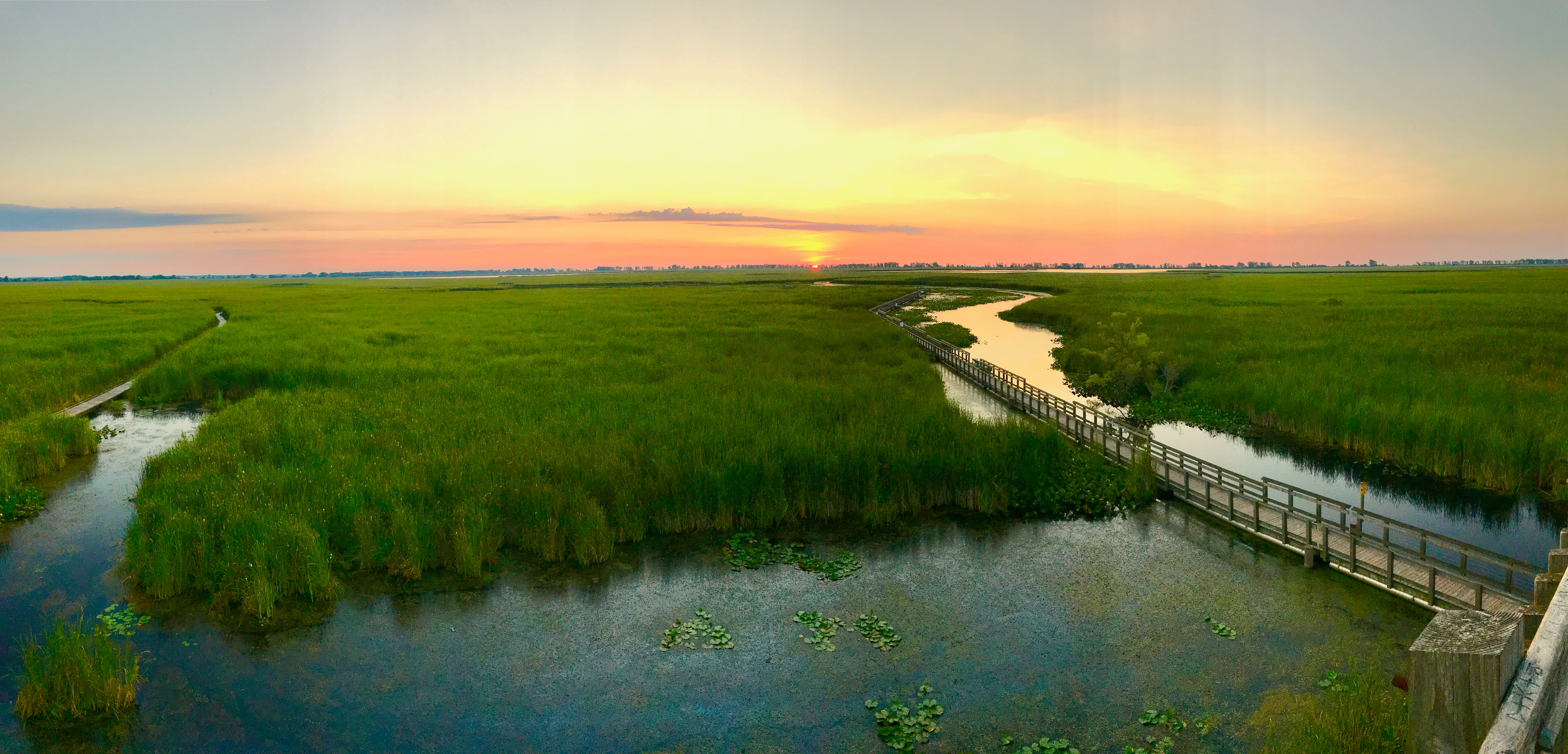 Sunrise over Point Pelee National Park, Canada