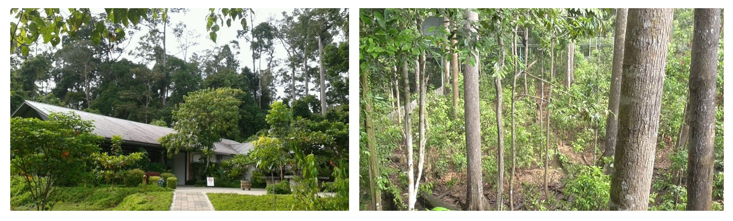 BSBCC and platform view