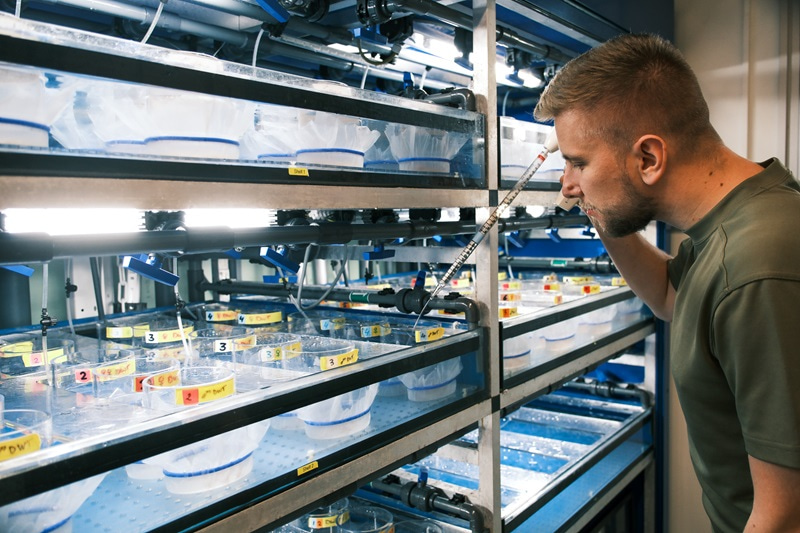 Photo showing Jaroslav Ferenc looking into shelves with boxes and holding a long pipette into one of the boxes.