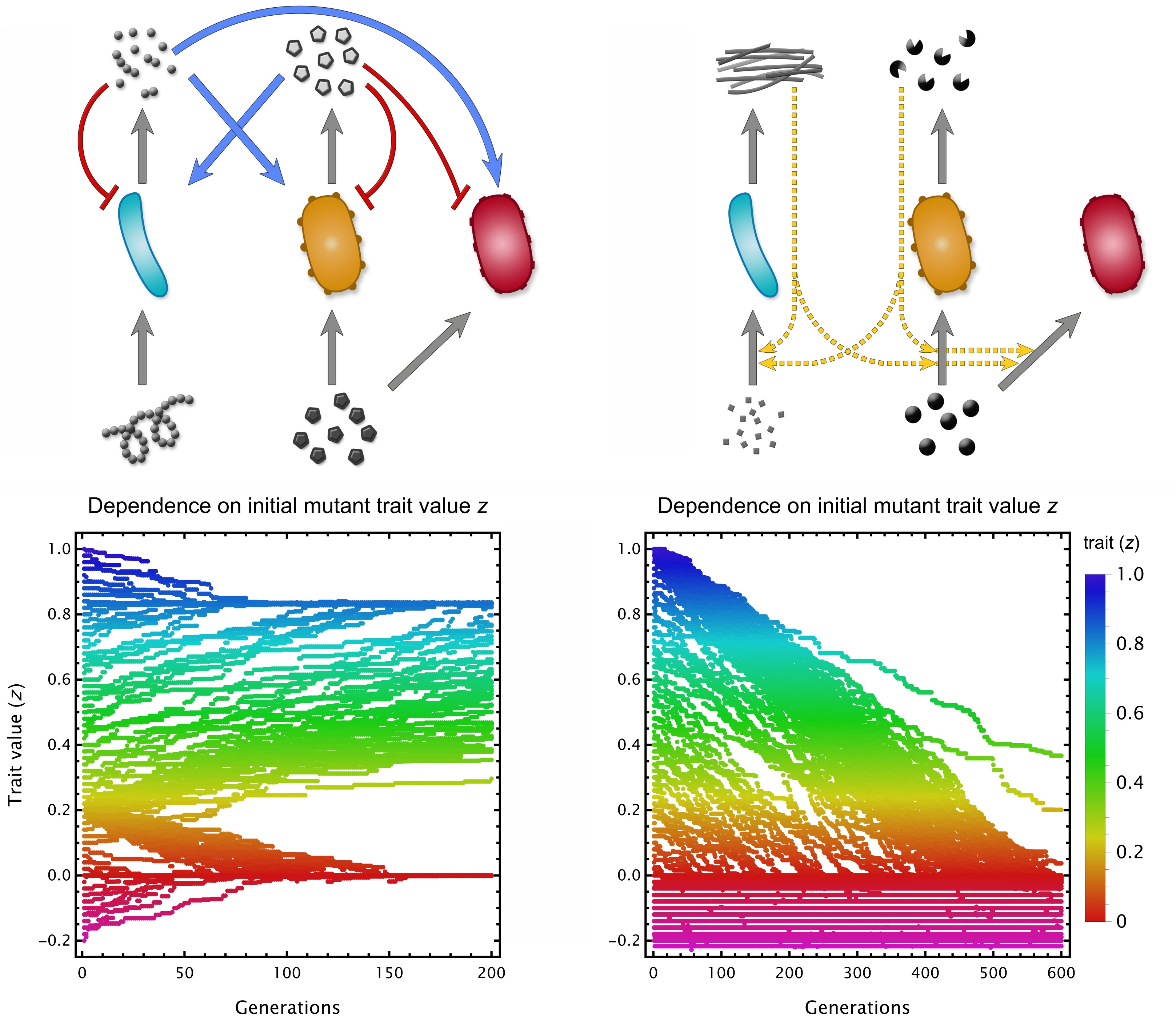 Models of cross-feeding and cross-facilitation